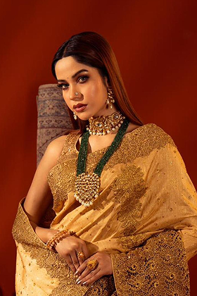Kanjivaram Gold Zari Saree kanjivaram gold zari saree